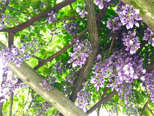 f:id:aihanum:20160425230857j:image f:id:aihanum:20160425230857j:image