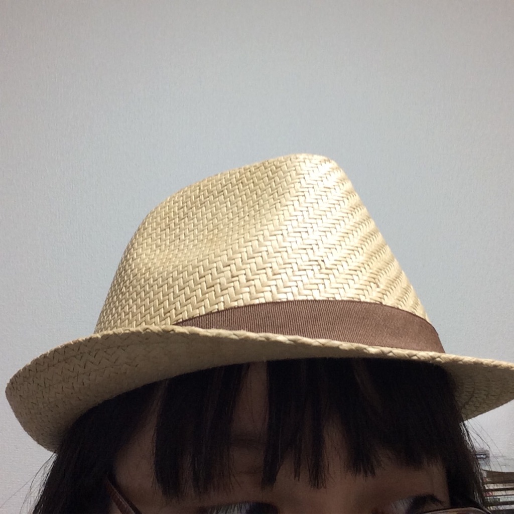 f:id:aikinoko:20160507224432j:image f:id:aikinoko:20160507224432j:image