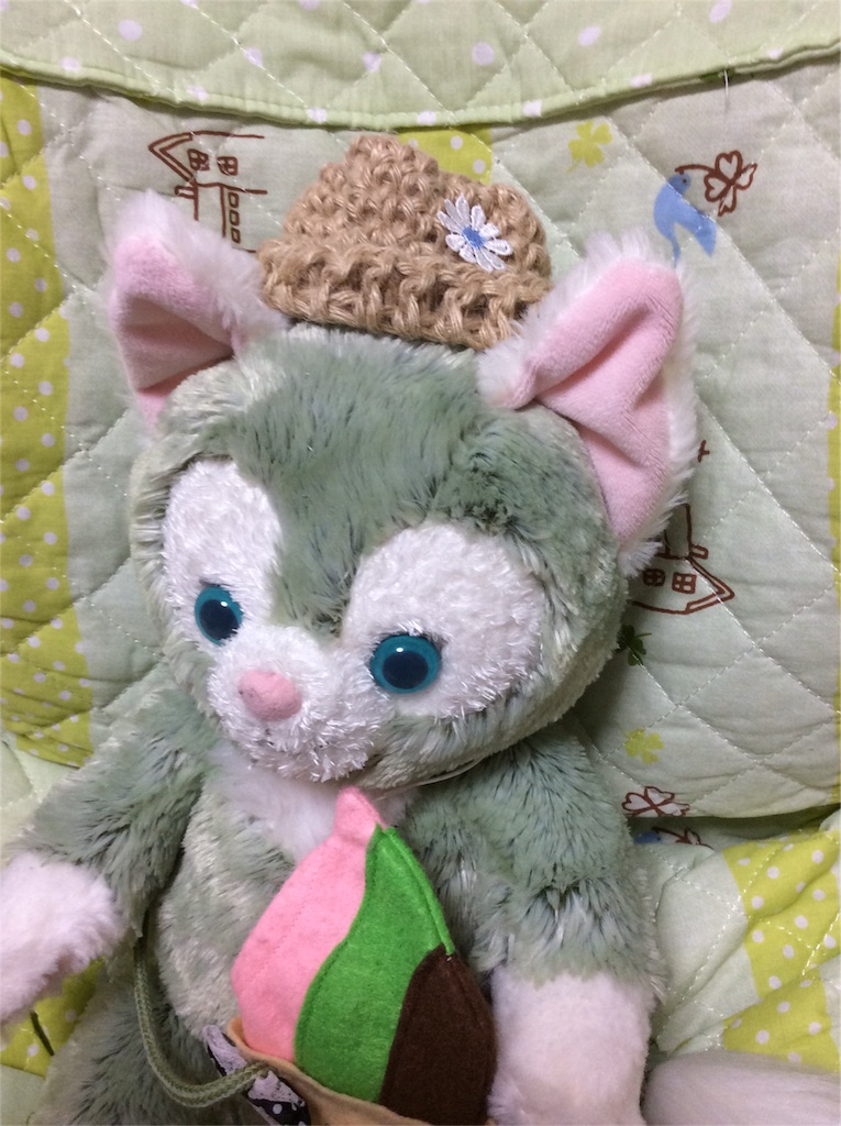 f:id:aikinoko:20160515213536j:image f:id:aikinoko:20160515213536j:image