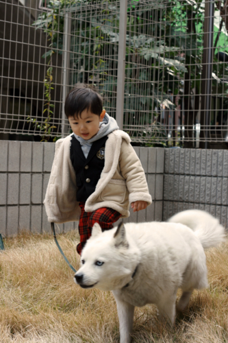 f:id:ain_ed:20090401134915j:image f:id:ain_ed:20090401134915j:image