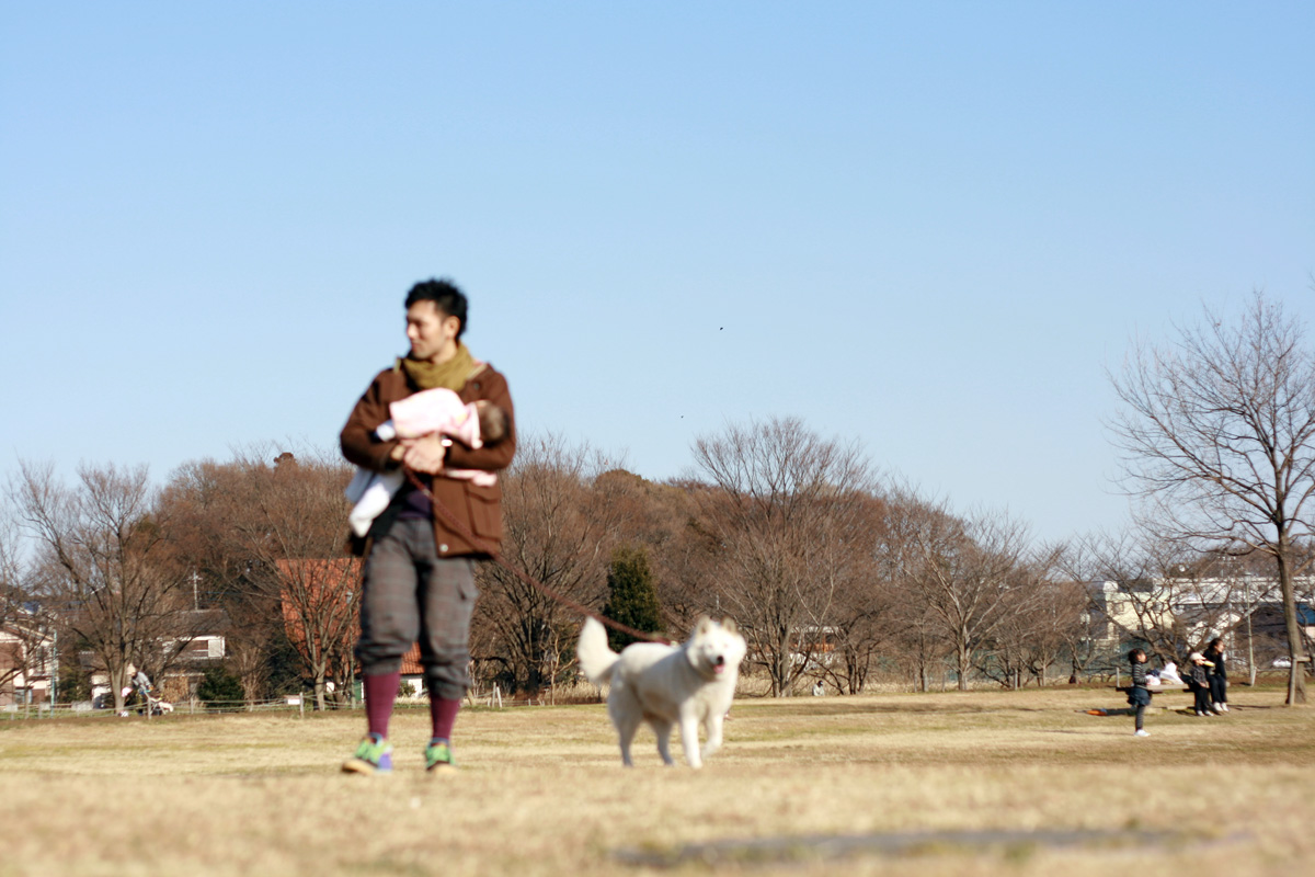 f:id:ain_ed:20100208232300j:image f:id:ain_ed:20100208232300j:image