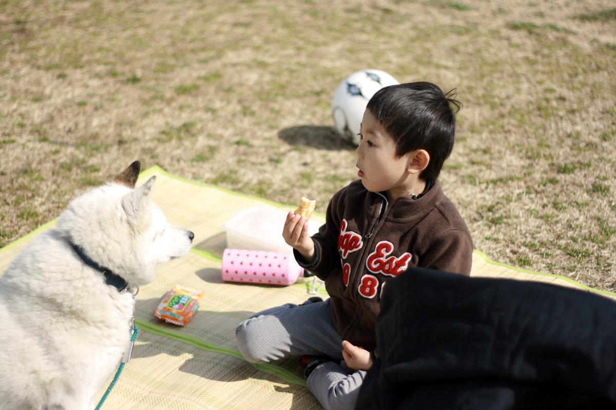 f:id:ain_ed:20110323222555j:image f:id:ain_ed:20110323222555j:image