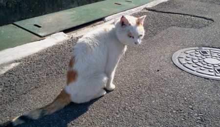 f:id:airgyan:20120107003103j:image