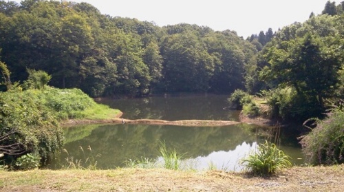 f:id:airgyan:20120908222915j:image