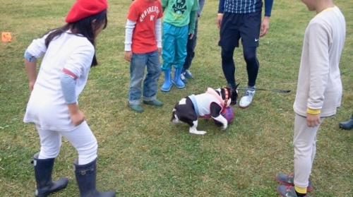 f:id:airgyan:20121009012515j:image