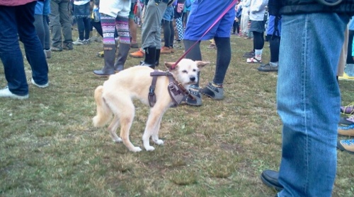 f:id:airgyan:20121009012532j:image