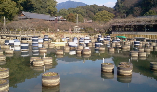 f:id:airgyan:20130108091810j:image f:id:airgyan:20130108091810j:image