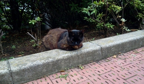 f:id:airgyan:20130713010404j:image f:id:airgyan:20130713010404j:image