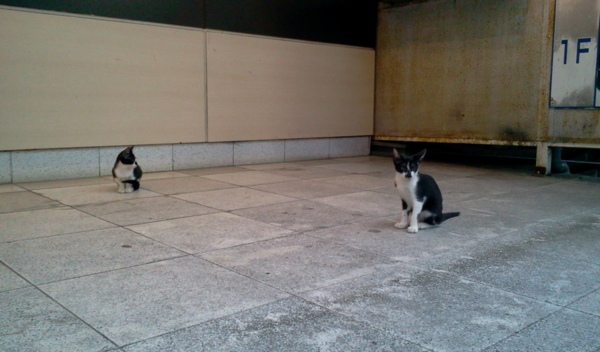 f:id:airgyan:20130924000451j:image