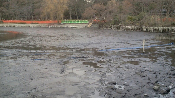 f:id:airgyan:20140127193027j:image