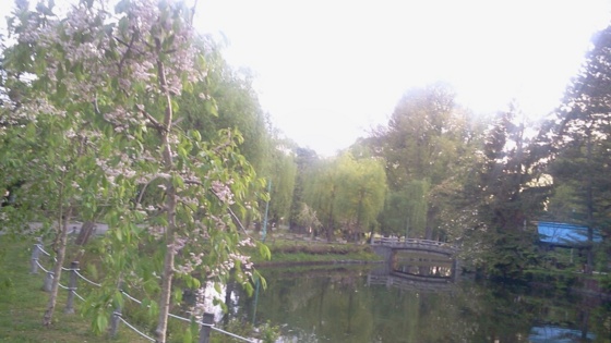 f:id:airgyan:20140529132025j:image f:id:airgyan:20140529132025j:image