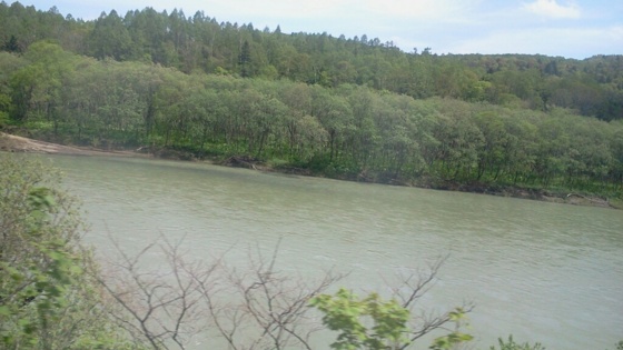 f:id:airgyan:20140529132057j:image f:id:airgyan:20140529132057j:image