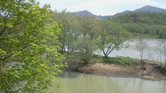 f:id:airgyan:20140529132058j:image f:id:airgyan:20140529132058j:image