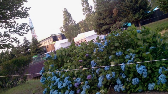 f:id:airgyan:20140723104205j:image f:id:airgyan:20140723104205j:image