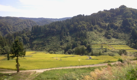 f:id:airgyan:20150913091535j:image f:id:airgyan:20150913091535j:image