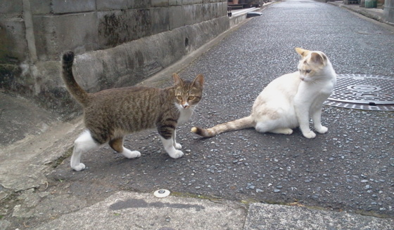 f:id:airgyan:20151029131906j:image f:id:airgyan:20151029131906j:image