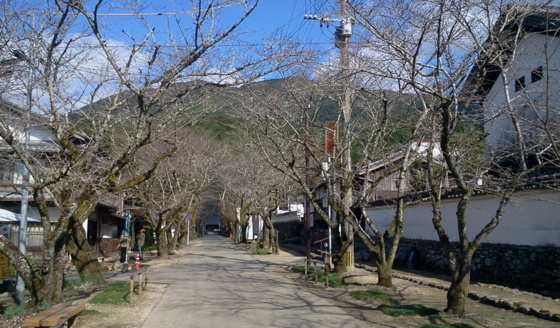 f:id:airgyan:20151029132032j:image f:id:airgyan:20151029132032j:image