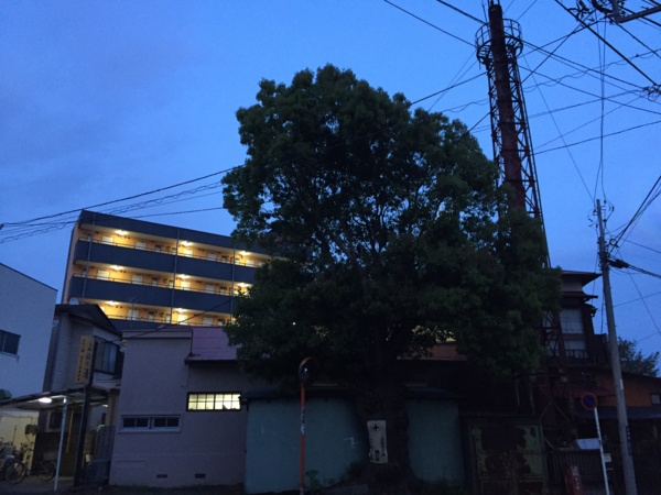 f:id:airgyan:20160429205319j:image f:id:airgyan:20160429205319j:image