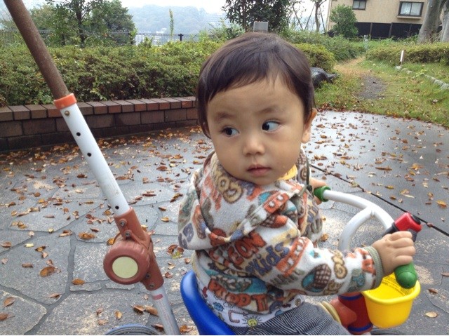 f:id:airpro:20131105225058j:plain f:id:airpro:20131105225058j:plain