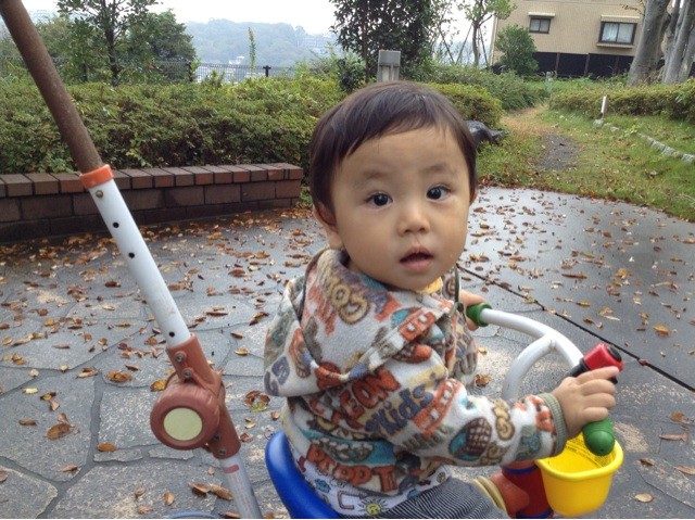 f:id:airpro:20131105225112j:plain f:id:airpro:20131105225112j:plain