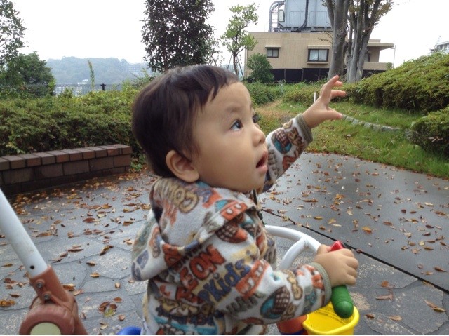 f:id:airpro:20131105225122j:plain f:id:airpro:20131105225122j:plain