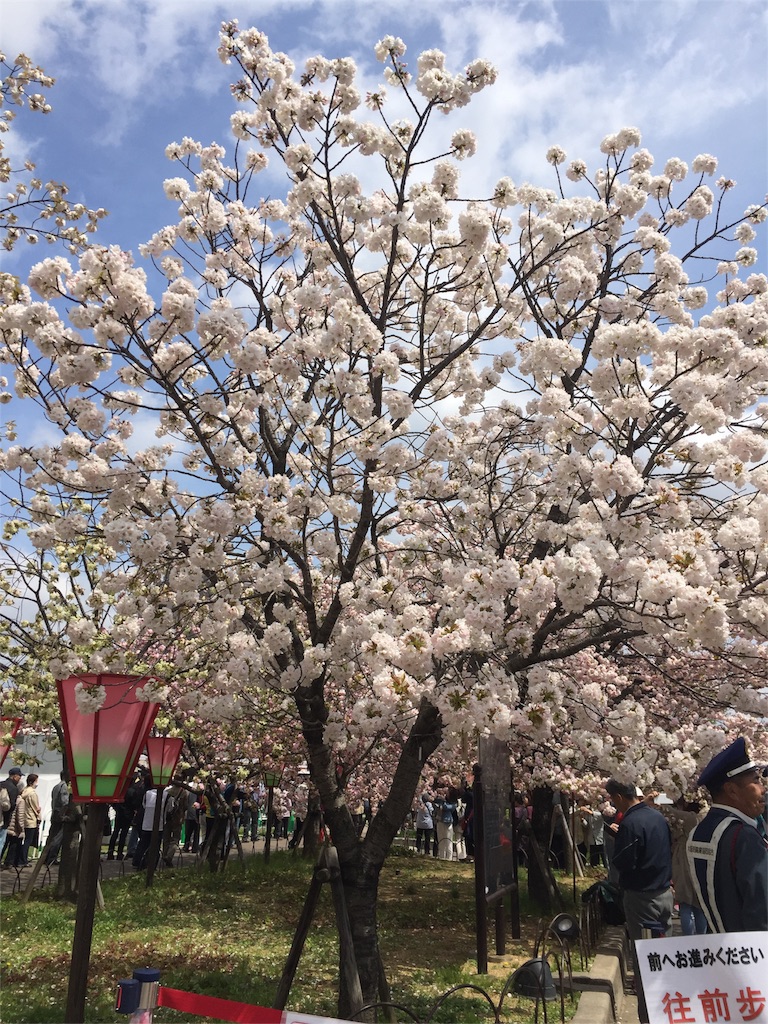f:id:aiyuu45:20160412153140j:image f:id:aiyuu45:20160412153140j:image