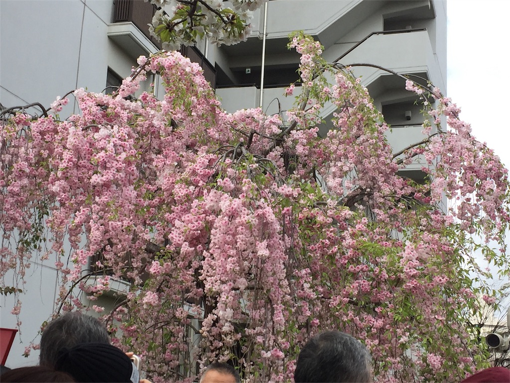 f:id:aiyuu45:20160412153745j:image f:id:aiyuu45:20160412153745j:image