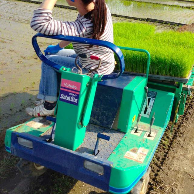 f:id:aji_kazu:20130519185048j:plain f:id:aji_kazu:20130519185048j:plain