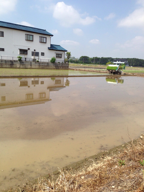 f:id:aji_kazu:20130519190927j:plain f:id:aji_kazu:20130519190927j:plain