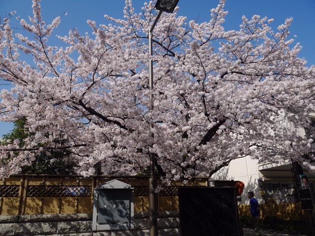 f:id:ak583:20150405154557j:plain f:id:ak583:20150405154557j:plain