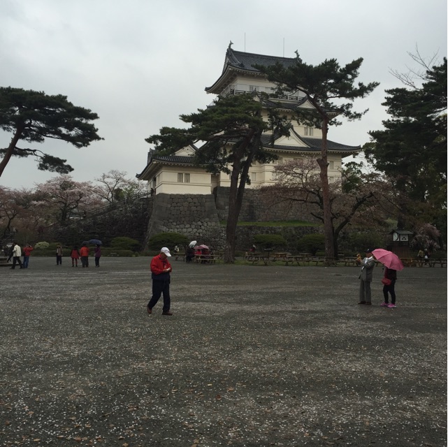 f:id:ak66g:20150412225850j:plain f:id:ak66g:20150412225850j:plain