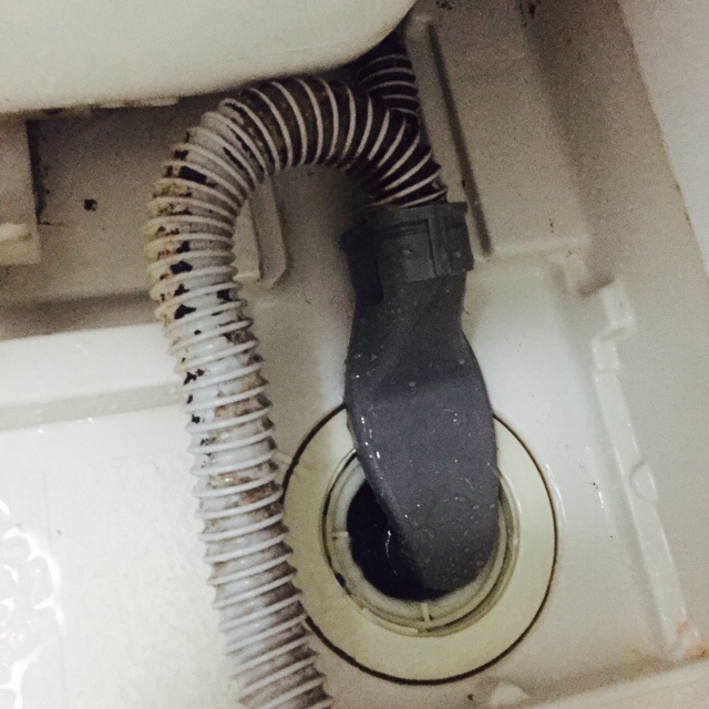 66g ユニットバス掃除後3