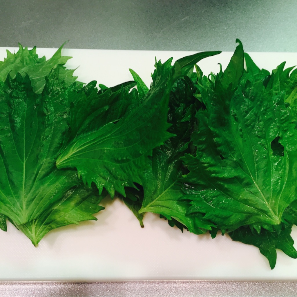 66g 合法ハーブSHISO