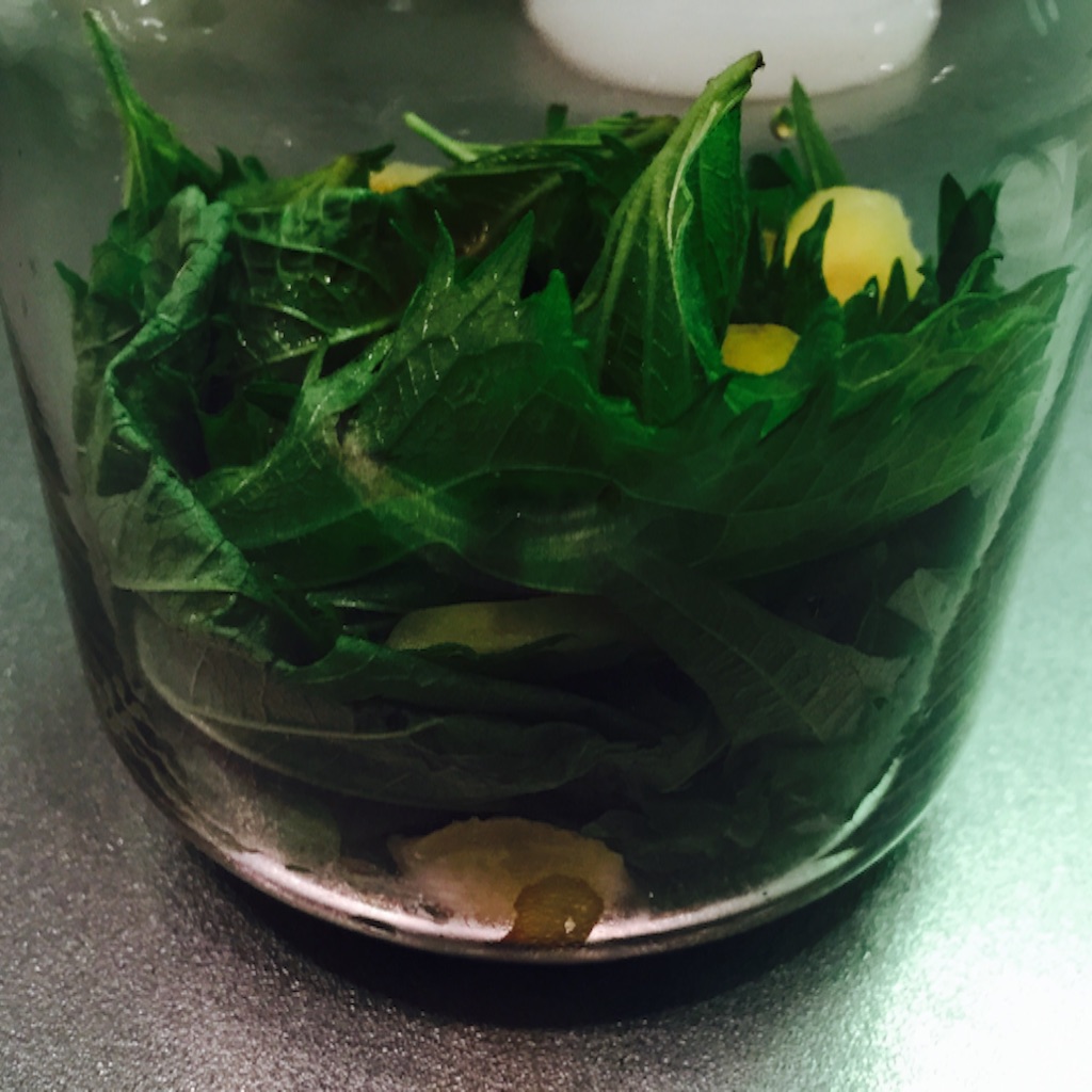 66g 合法ハーブSHISO