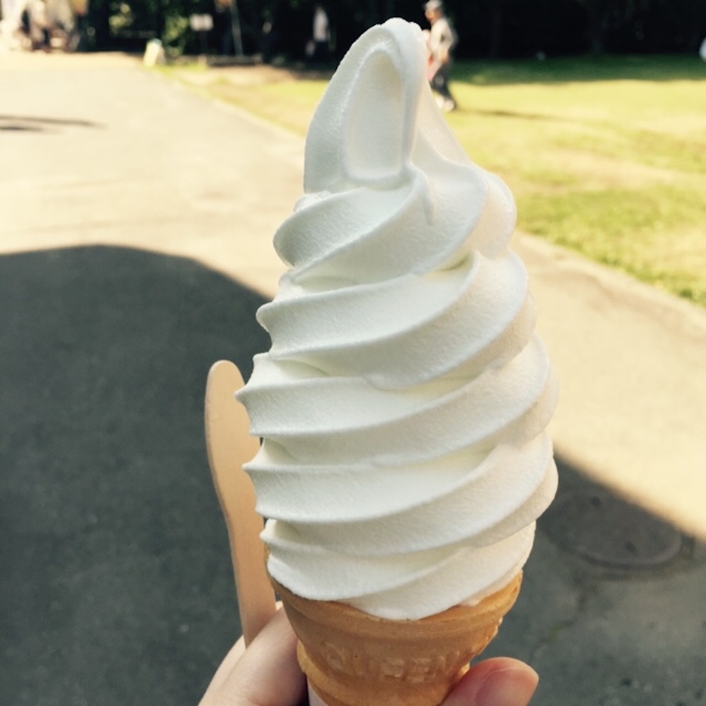 駒ヶ根 すずらんソフト画像
