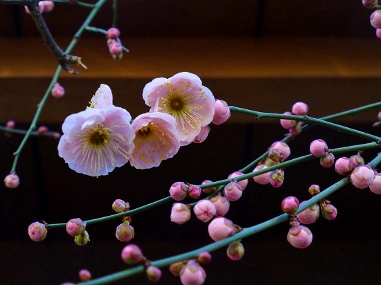 f:id:akaibara:20130219120908j:image:w400