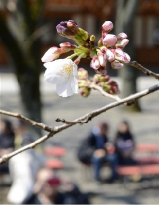 f:id:akaibara:20130317203133p:image f:id:akaibara:20130317203133p:image