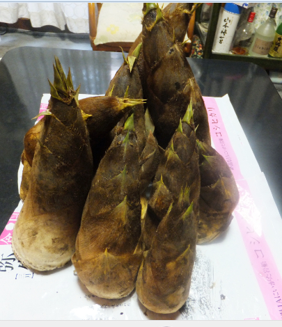 f:id:akaibara:20130426232044j:image