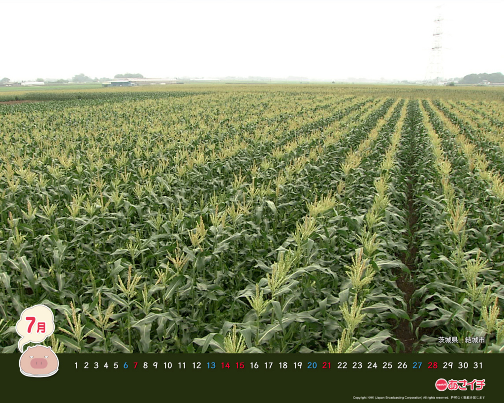 f:id:akaibara:20130709163851j:image:w400