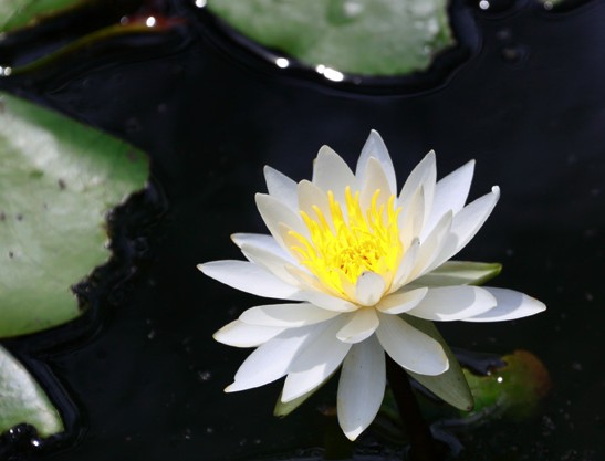 f:id:akaibara:20130714223651j:image:w300 f:id:akaibara:20130714223651j:image:w300
