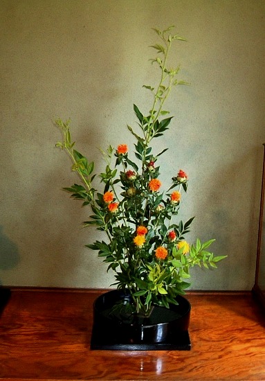 f:id:akaibara:20130718161543j:image:w300 f:id:akaibara:20130718161543j:image:w300