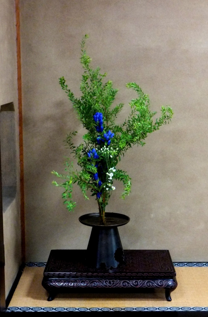 f:id:akaibara:20130913202755j:image:w450 f:id:akaibara:20130913202755j:image:w450