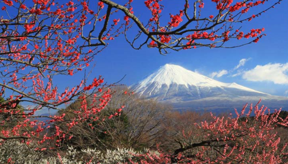f:id:akaibara:20131002171256p:image:w450 f:id:akaibara:20131002171256p:image:w450