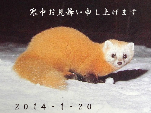 f:id:akaibara:20140120154413j:image:w450