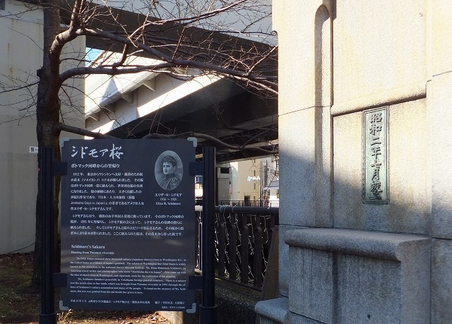 f:id:akaibara:20160213202540j:image:w270