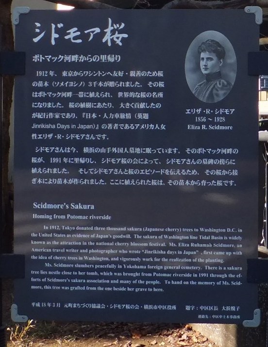 f:id:akaibara:20160213210757j:image:w270