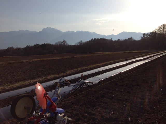 f:id:akane-farm:20140415214940j:plain f:id:akane-farm:20140415214940j:plain