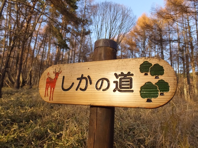 f:id:akane-farm:20141110201910j:plain f:id:akane-farm:20141110201910j:plain