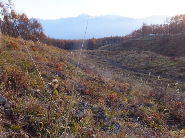 f:id:akane-farm:20141110202409j:plain f:id:akane-farm:20141110202409j:plain