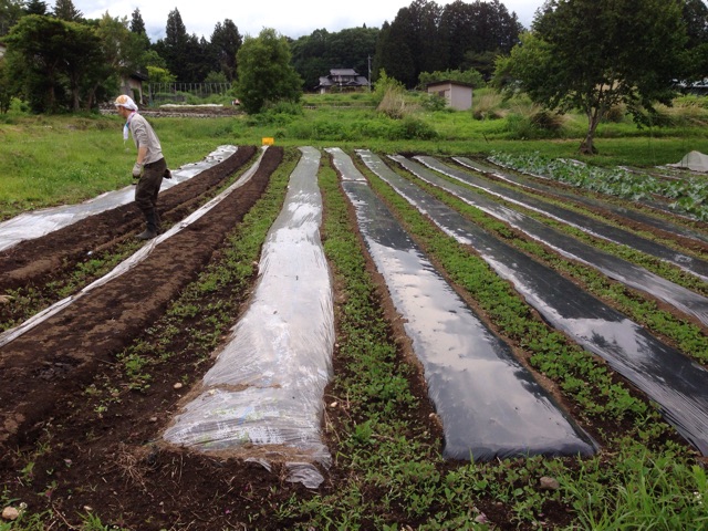 f:id:akane-farm:20150608193516j:plain f:id:akane-farm:20150608193516j:plain
